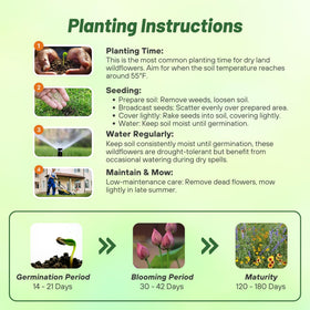 Outsidepride Dryland Wildflower Seed Mix features drought-tolerant plants for resilient xeriscapes.