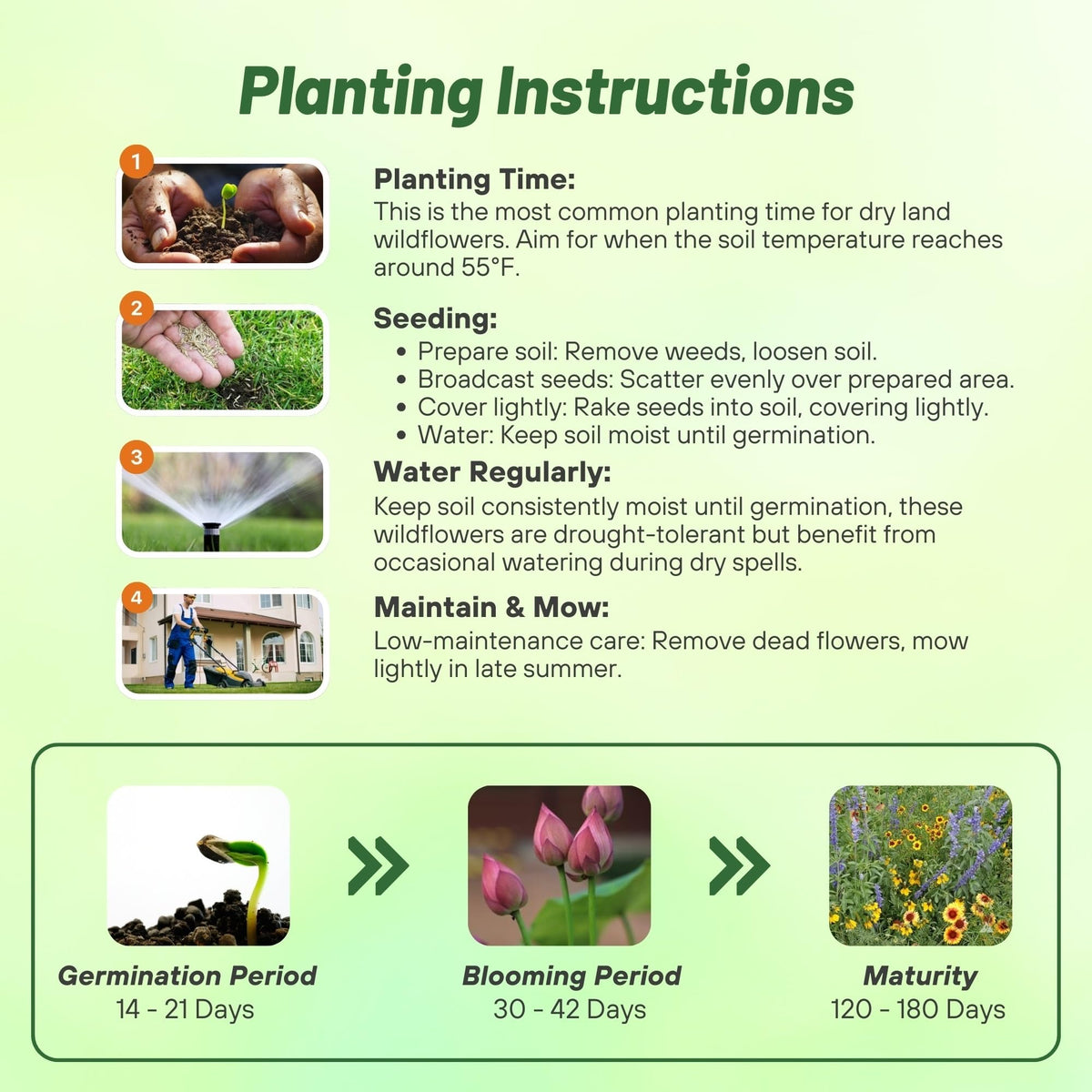 Outsidepride Dryland Wildflower Seed Mix easy planting for drought-tolerant landscapes