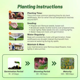 Outsidepride Dryland Wildflower Seed Mix easy planting for drought-tolerant landscapes