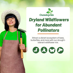 Outsidepride Dryland Wildflower Seed Mix ideal for full sun or shade gardens