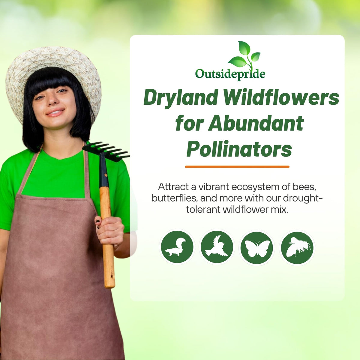 Outsidepride Dryland Wildflower Seed Mix offers meadow-coverage options for scalable displays.