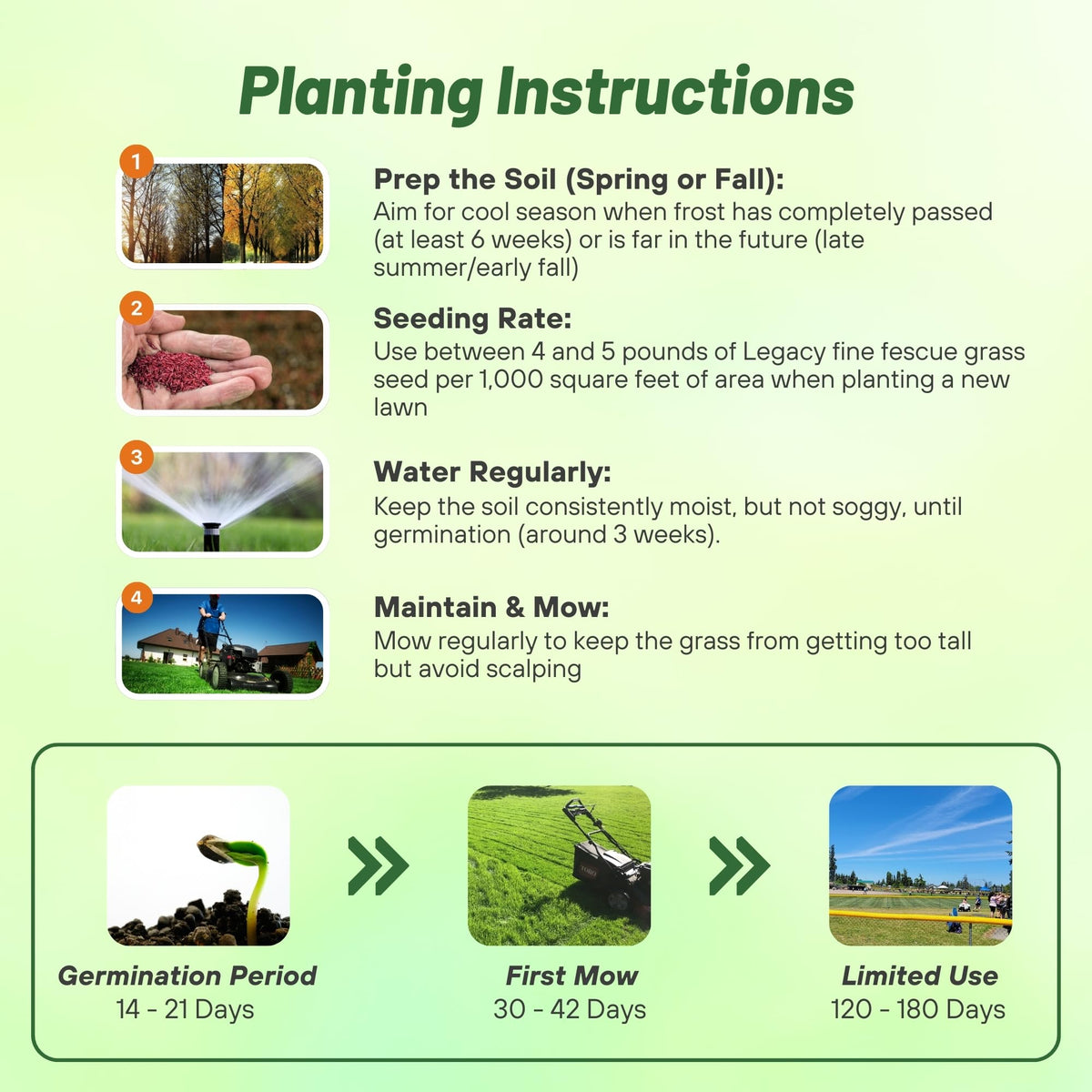 Outsidepride durable turf texture resists wear for busy lawns.