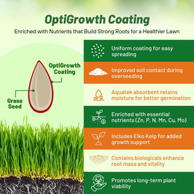 Outsidepride fine leaf texture ryegrass for a refined lawn appearance.