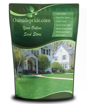 Outsidepride Fireball and Hattrick rye seed blend 5 lbs for uniform sowing and quick establishment.
