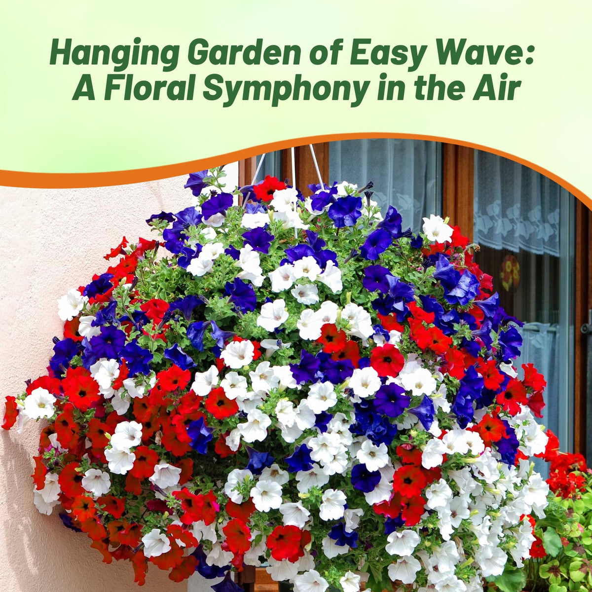 Outsidepride Flag Mix thrives in full sun, perfect for window boxes and hanging baskets.