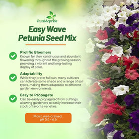 Outsidepride Easy Wave Petunia Seeds germinate quickly for early color in sunny planters.