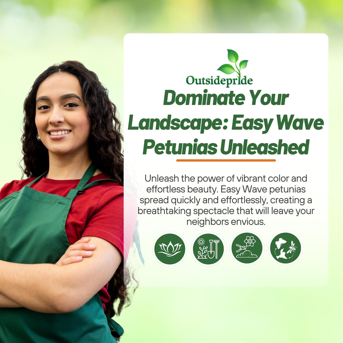 Outsidepride Petunias tolerate USDA zones 3-8 for resilient garden color.