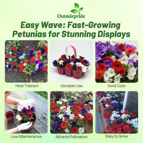 Outsidepride Flag Mix Easy Wave Petunia Seeds create a patriotic border display for any garden.