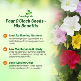 Dense shrub-like growth ideal for borders and hedges.