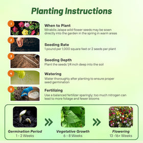 Pollinator-friendly blooms attract hummingbirds, butterflies, and moths.