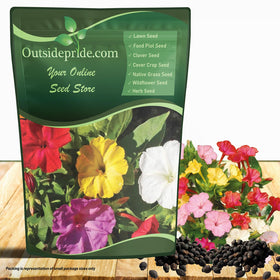 Outsidepride four o'clock seeds in mixed colors for vibrant borders.