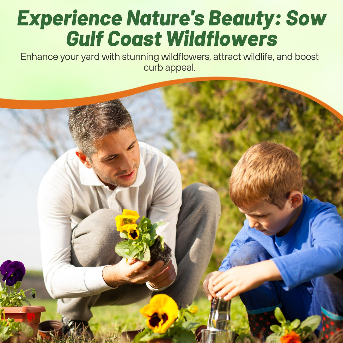 Outsidepride Gulf Coast wildflower seed mix biodiversity-friendly garden effect.
