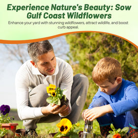 Outsidepride Gulf Coast wildflower seed mix biodiversity-friendly garden effect.