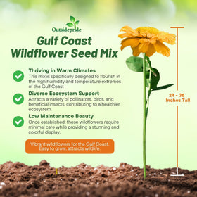 Outsidepride Gulf Coast wildflower seed mix closeup purity highlights high germination potential.