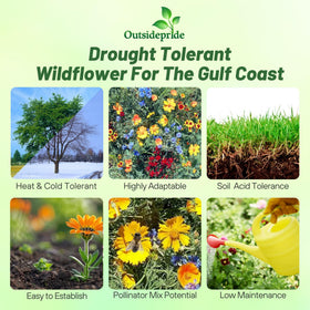 Outsidepride Gulf Coast wildflower seed mix dense meadow shows tall blooms.