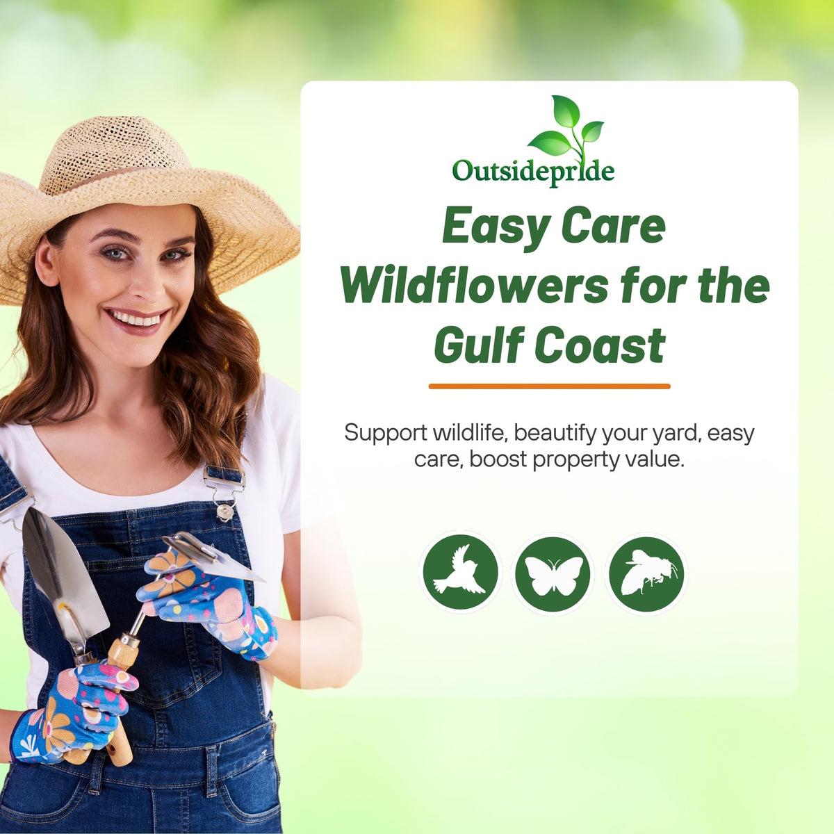 Outsidepride Gulf Coast wildflower seed mix pollinator blooms attract bees.