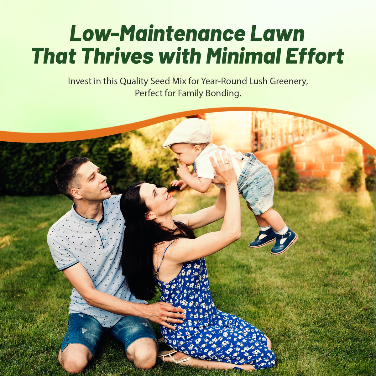 Outsidepride Sundancer heat-tolerant turf thrives in hot climates.