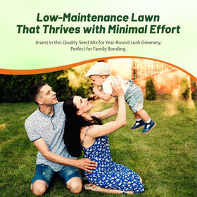 Outsidepride Sundancer heat-tolerant turf thrives in hot climates.
