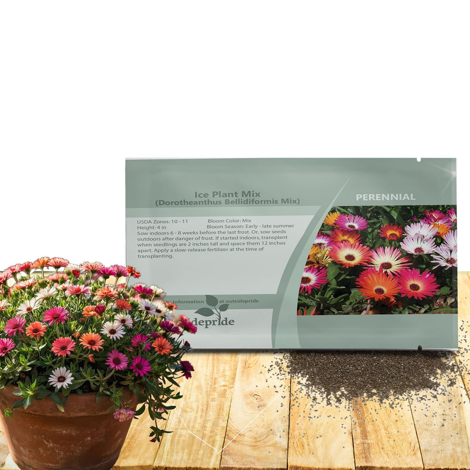 Outsidepride Ice Plant Seeds Mix packaging ready for sunny bed sowing