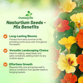 Outsidepride Jewel Mix Nasturtium edible flowers add peppery garnish to dishes.
