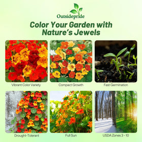 Outsidepride Jewel Mix Nasturtium trailing vines drape a trellis with color.