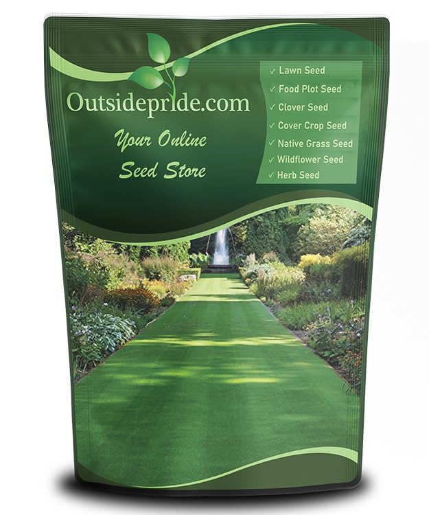 Outsidepride Legacy Fine Fescue seed mix showing dense, fine turf for sun and shade.