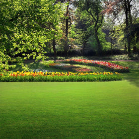 Outsidepride low-maintenance lawn seed reduces watering and care