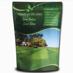 Outsidepride Maya Blackjack Bermuda seed 5lb pack for lush lawns and drought tolerance.