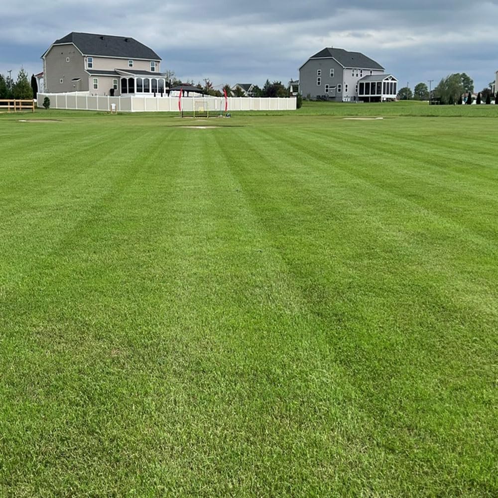 Outsidepride Maya Blackjack for sports fields and golf courses with versatile application.