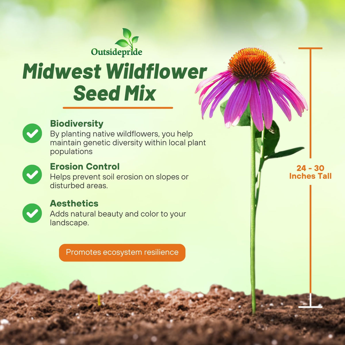 Outsidepride Midwest Wildflower Seed Mix broadcast sowing for easy garden setup.