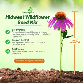 Outsidepride Midwest Wildflower Seed Mix broadcast sowing for easy garden setup.