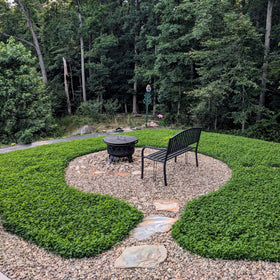 Outsidepride MiniClover ground cover suited for USDA zones 3-10