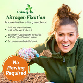 Outsidepride miniclover seed nitrogen-fix close-up; natural soil enrichment.