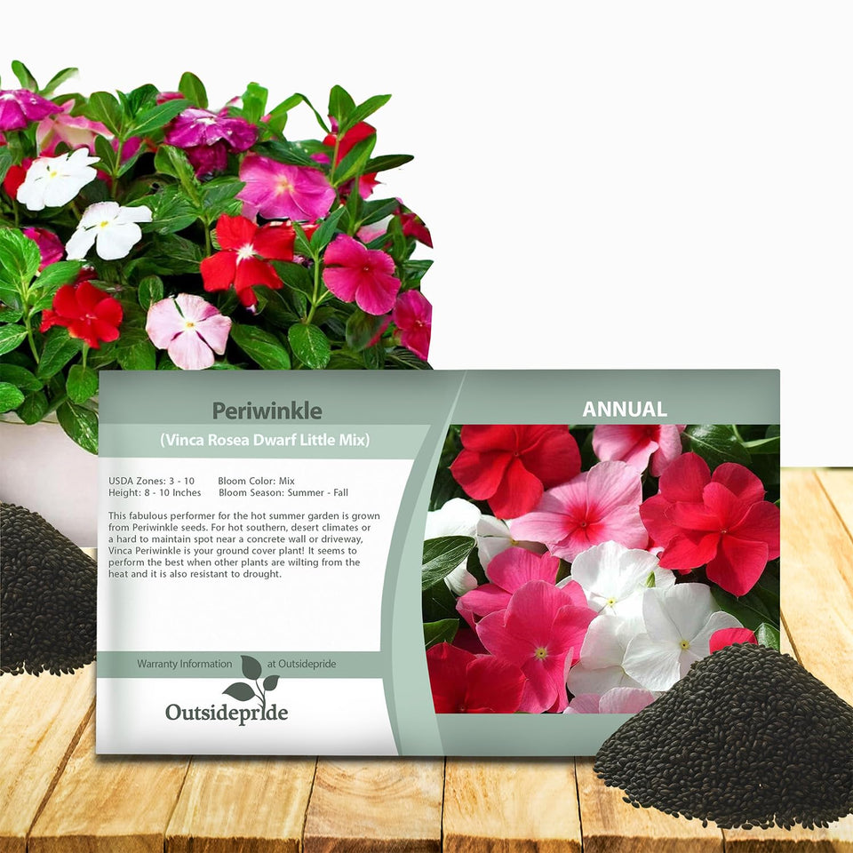 Outsidepride Mix Periwinkle Seeds show early-bloom color for an earlier garden splash.