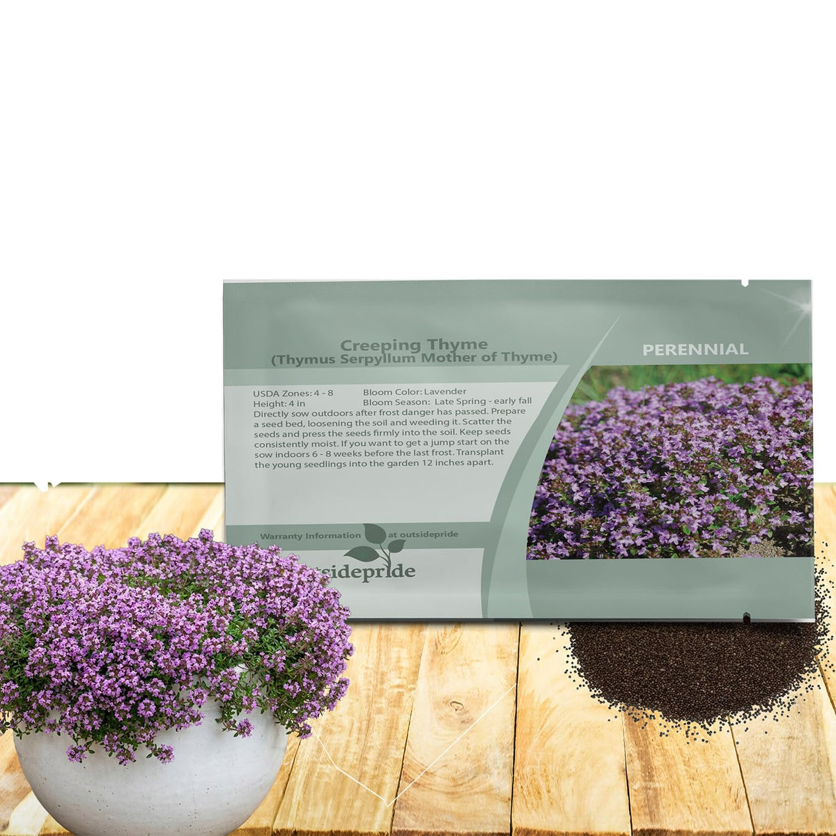 Outsidepride Mother of Thyme seeds form a dense evergreen ground cover for pathways.
