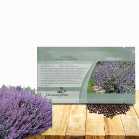 Outsidepride Nepeta Mussinii Catmint blue blooms brighten borders and attract pollinators.