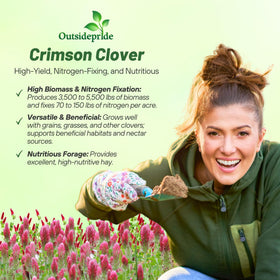 Outsidepride Nitrocoated Crimson Clover seeds improve germination and early vigor.