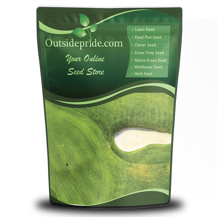 Outsidepride Oasis Bermuda Seed bag highlighting premium warm-season blend for lush lawns.
