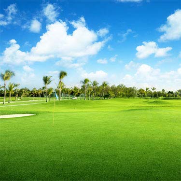 Outsidepride Oasis Bermuda Seed grows fast when planted at recommended rates.