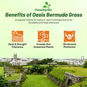 Outsidepride Oasis Bermuda Seed offers drought and heat resistance for hot climates.