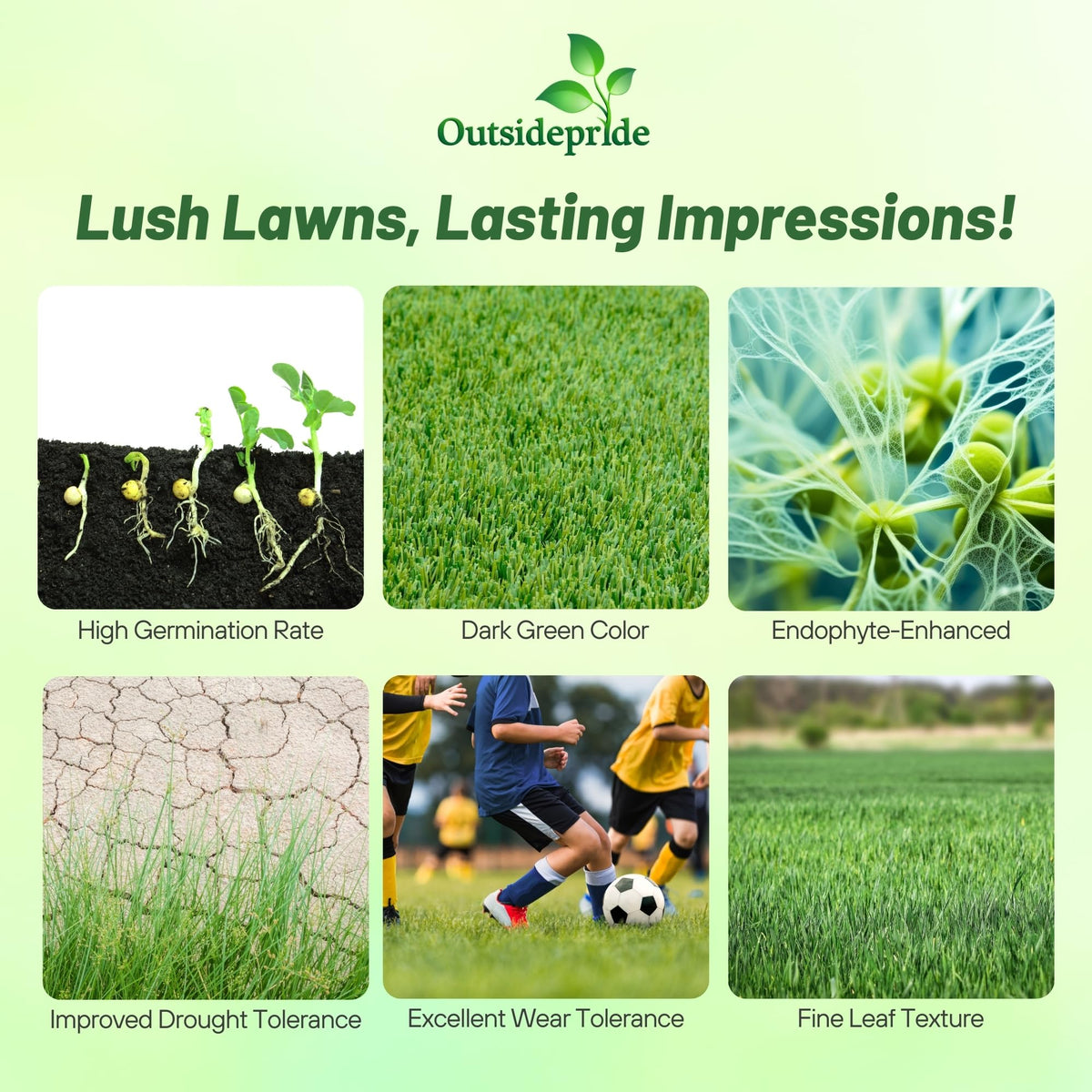 Outsidepride OptiGrowth coated seed improves moisture retention and faster germination.