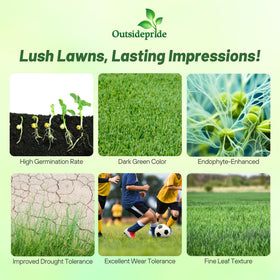 Outsidepride OptiGrowth coated seed improves moisture retention and faster germination.
