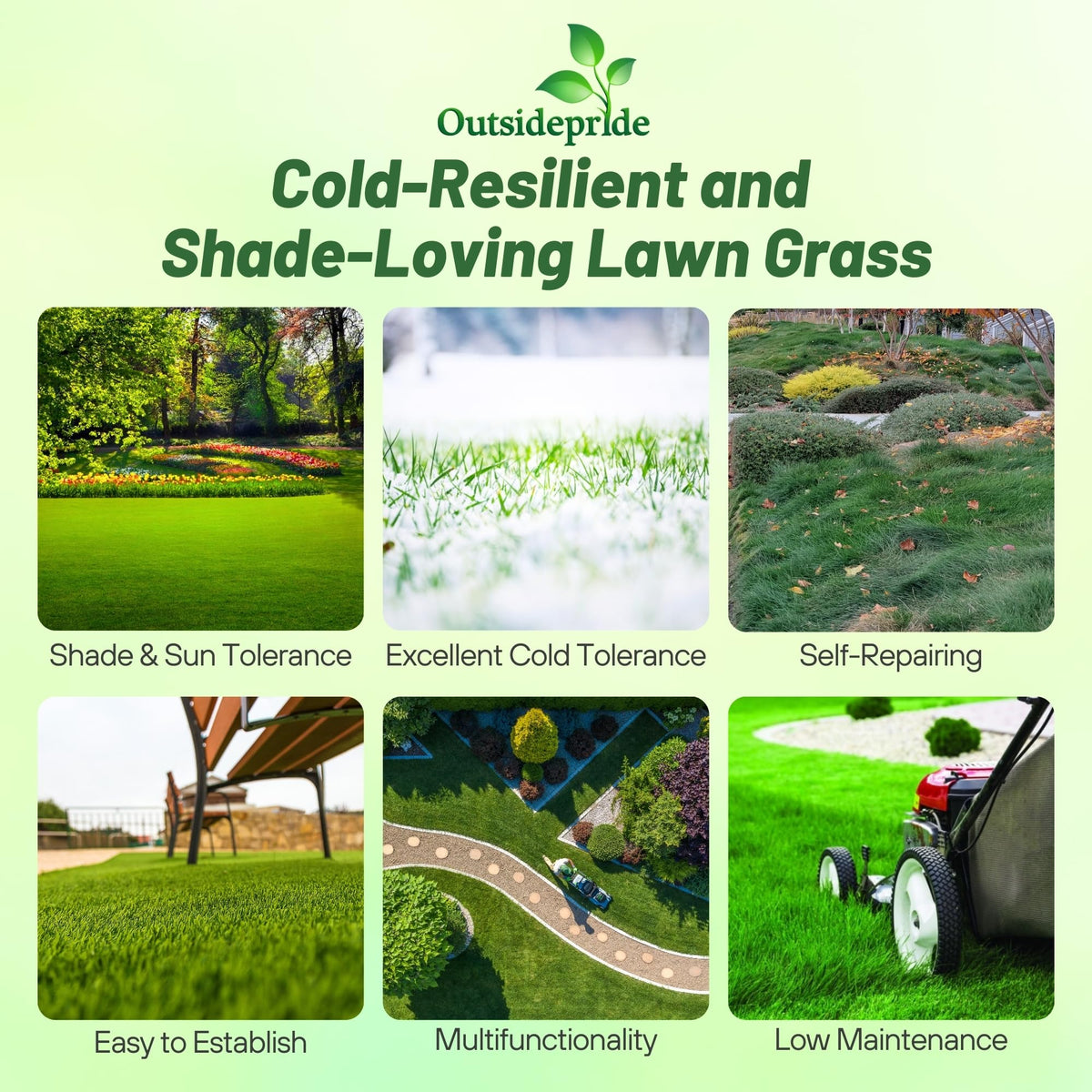 Outsidepride OptiGrowth coating close-up boosts germination and soil contact