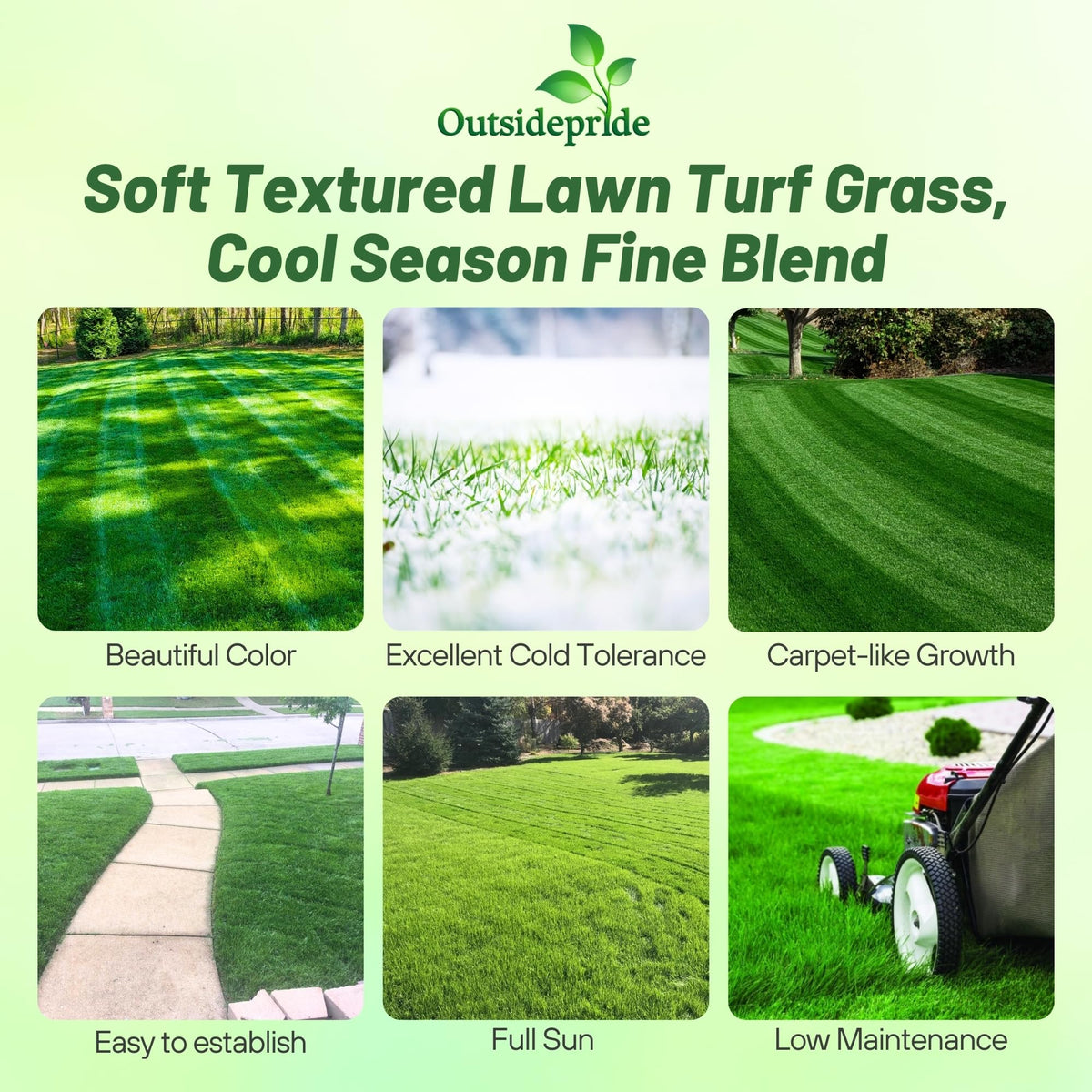 Outsidepride OptiGrowth coating closeup showing enhanced seed performance.