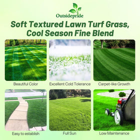 Outsidepride OptiGrowth coating closeup showing enhanced seed performance.
