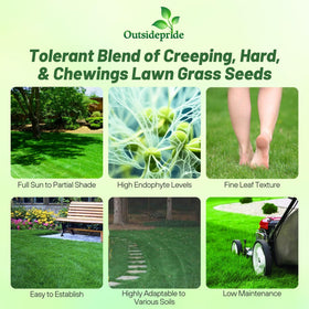 Outsidepride OptiGrowth coating close-up enhances germination and even spread.