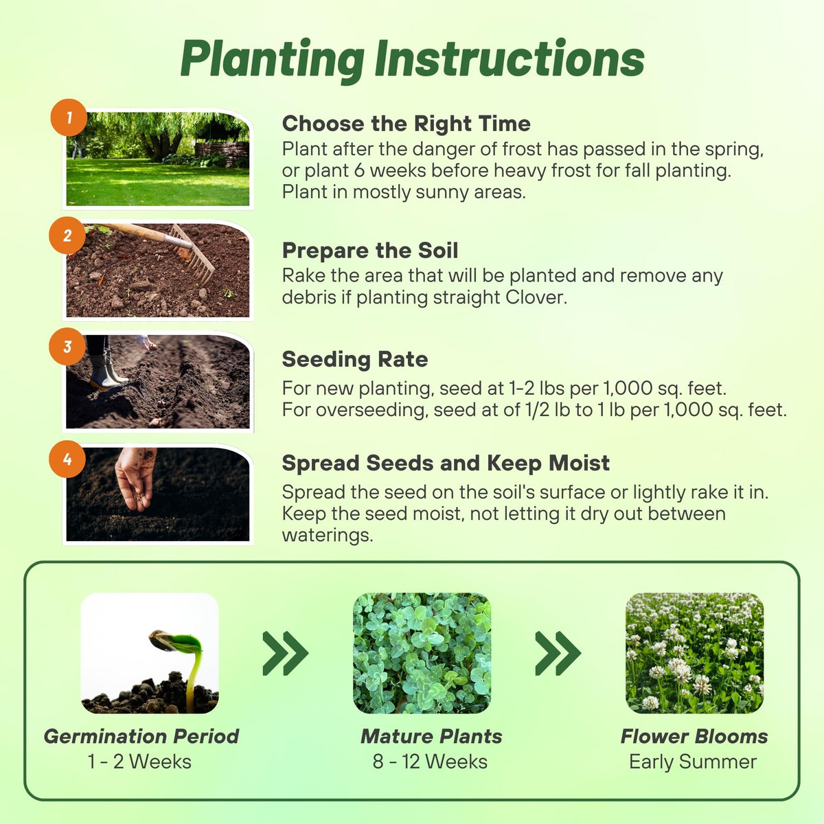 Outsidepride clover seed used in pasture mixes for diverse forage.