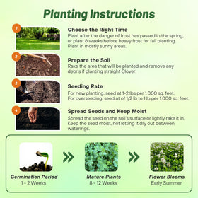 Outsidepride clover seed used in pasture mixes for diverse forage.