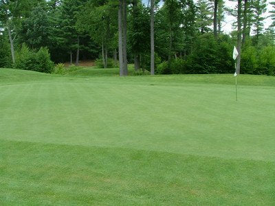 Outsidepride PC2.0 Penncross creeping bentgrass seed bag for durable, high-traffic greens.