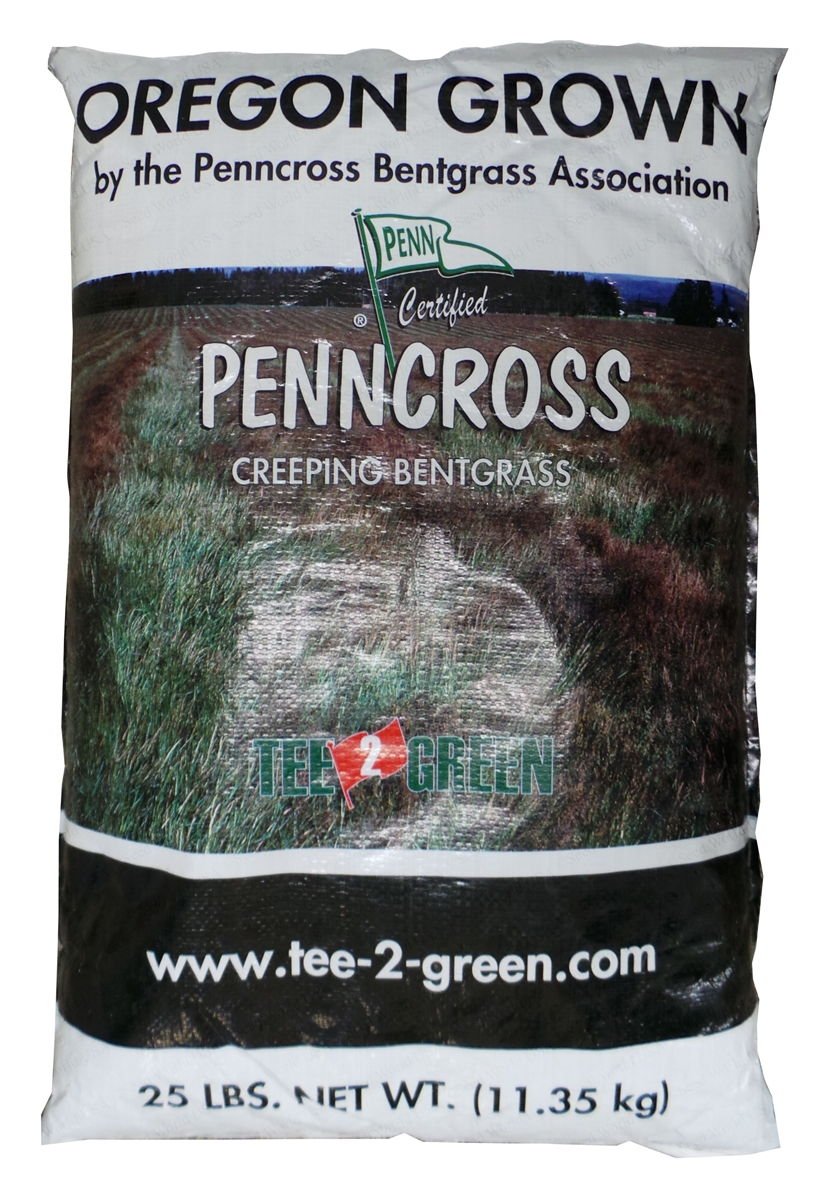 Outsidepride PC2.0 Penncross seed spread on home putting green for lush turf.